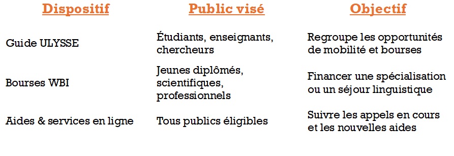aides financières langues wbi